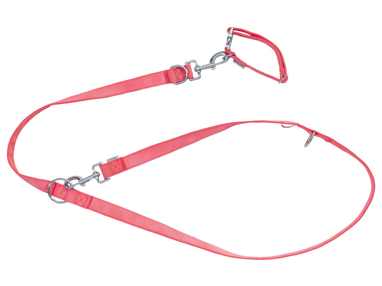 Aller en mode plein écran : zoofari® Collier et laisse pour chiens - Image 2