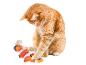 Un chat orange joue avec un jouet en forme de poisson orange.