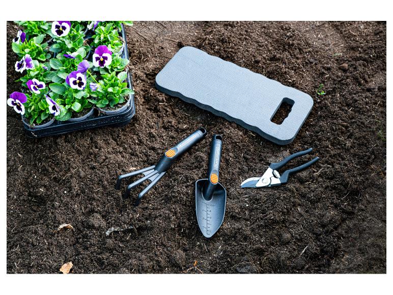 Plants de pensées, outils de jardinage et tapis de jardinage sur la terre.