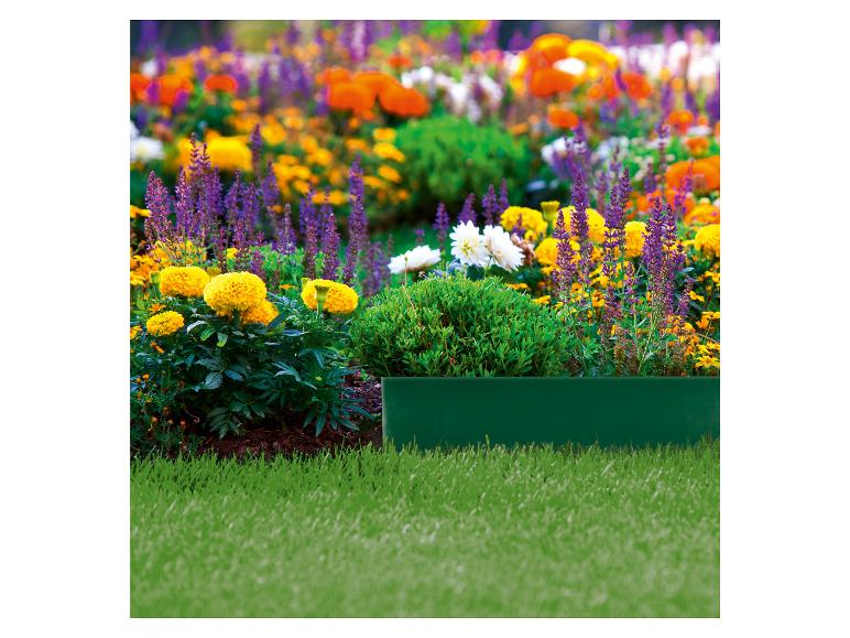Bordures de jardin et fleurs colorées.