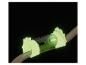 Apple Watch avec un bracelet vert sur un socle en bois.