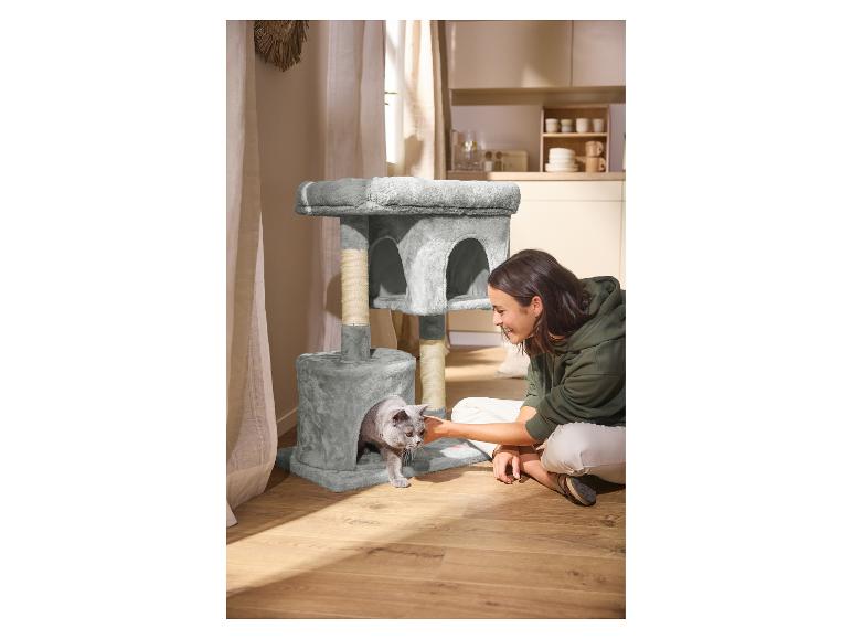 Femme caressant un chat dans un arbre à chat gris, cuisine en arrière-plan.