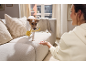 Chien avec jouet jaune sur canapé, femme tendant la main.