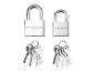 Deux cadenas métalliques argentés de tailles différentes avec leurs jeux de clés respectifs.