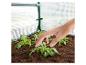 Une main se tend vers de jeunes plantes vertes dans une mini-serre.