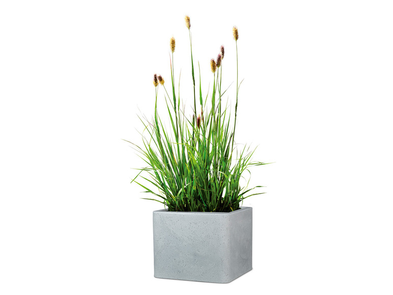 Aller en mode plein écran : Scheurich Pot à plantes « Cube », en plastique, carré, à paroi épaisse - Image 7