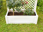 Une jardinière blanche avec un treillis pour plantes grimpantes et deux plantes.