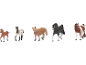 Cinq figurines de chevaux jouets, dont un poulain brun, un poulain tacheté, un palomino, un cheval noir et un pinto.