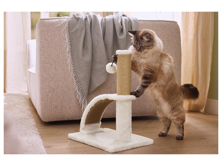 Chat jouant avec un poteau à griffer à pompons dans un salon.