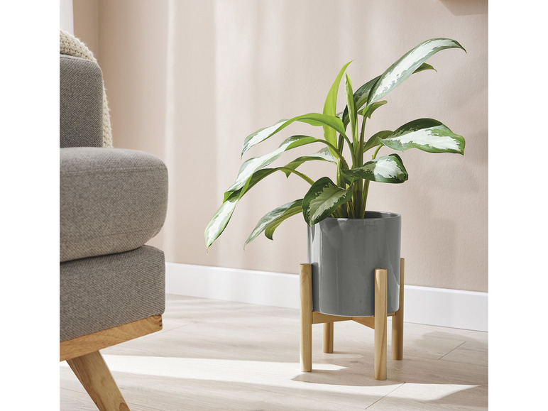 Aller en mode plein écran : LIVARNO home Cache-pot en céramique avec support en pin - Image 8