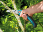 Une main utilisant une scie Gardena pour couper une branche.