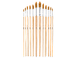 Lot de douze pinceaux de peinture de différentes tailles sur fond noir.