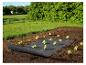 Un paillis noir dans un jardin avec des jeunes plants de laitue.