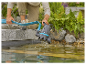 Pompe Gardena et tuyau d'arrosage pour bassin.
