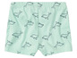 Shorts de couleur menthe avec un motif de dauphins.