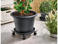 Grand pot de fleurs sur un support à roulettes, avec d'autres plantes en pot en arrière-plan.