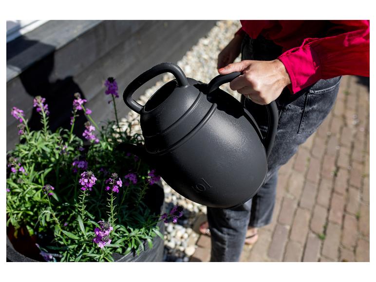 Personne arrosant des fleurs violettes avec un arrosoir noir.