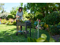 Femme arrosant des plantes dans un jardin avec un programmateur d'eau et un tuyau.