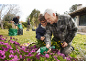 Un homme et un enfant plantent des fleurs avec des ciseaux Parkside.