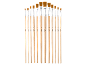Lot de douze pinceaux plats de différentes tailles alignés