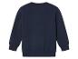 Un pull bleu marine à manches longues.