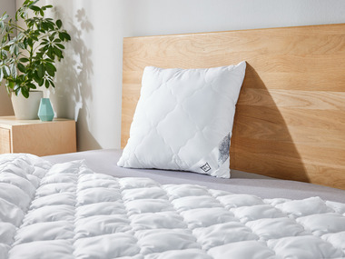 LIVARNO home Oreiller, 40 x 60 cm