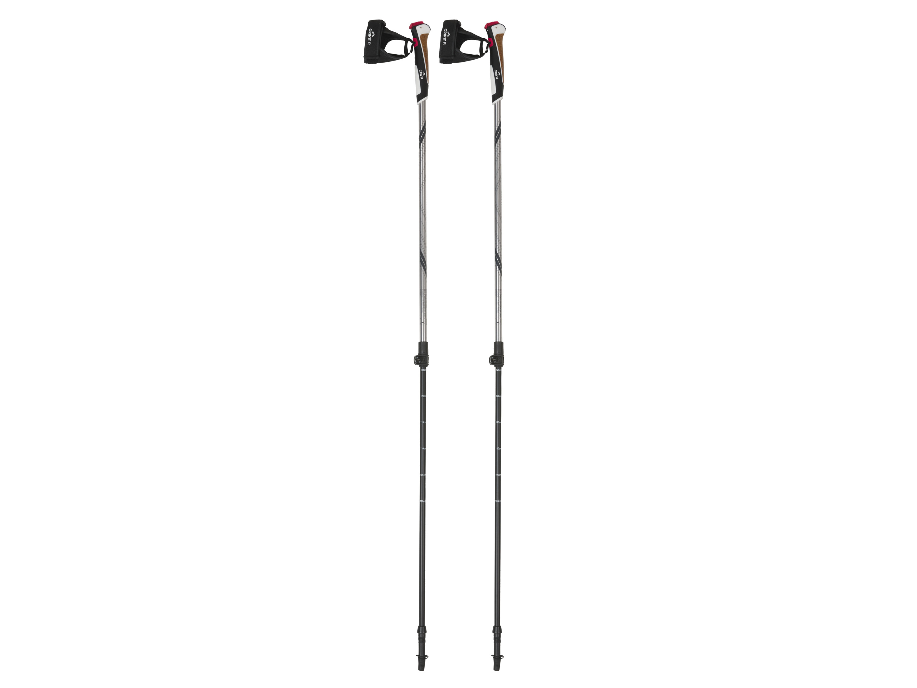 CRIVIT Bâtons de marche nordique en carbone (anthracite/orange)