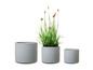 Trois pots ronds gris, l'un avec de l'herbe.