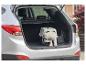 Petit chien dans une cage de transport dans le coffre d'une voiture