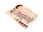 Puzzle en bois : anatomie humaine, squelette, muscles et organes.