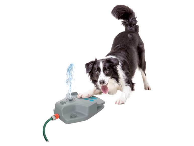 Aller en mode plein écran : zoofari® Fontaine à eau pour chien - Image 1