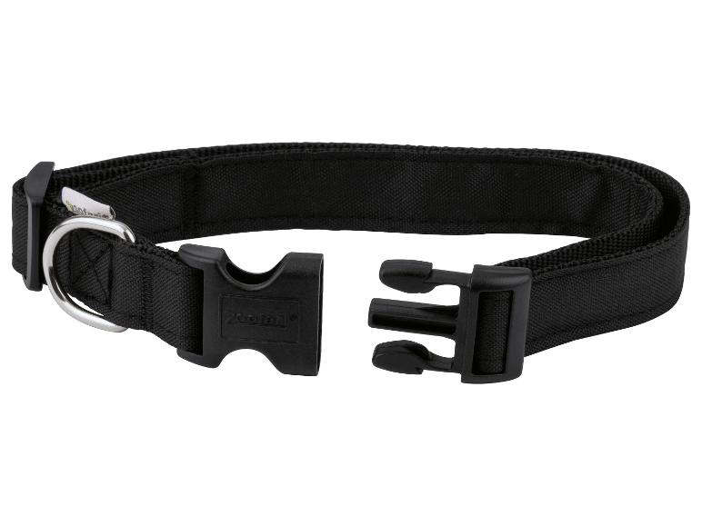 Collier de chien noir avec boucle métallique et attache en plastique