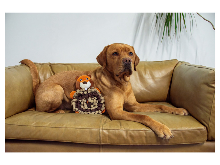 Aller en mode plein écran : Peluche pour chien - Image 8