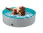 Chien marron debout dans une piscine pliable pour animaux de compagnie remplie d'eau.