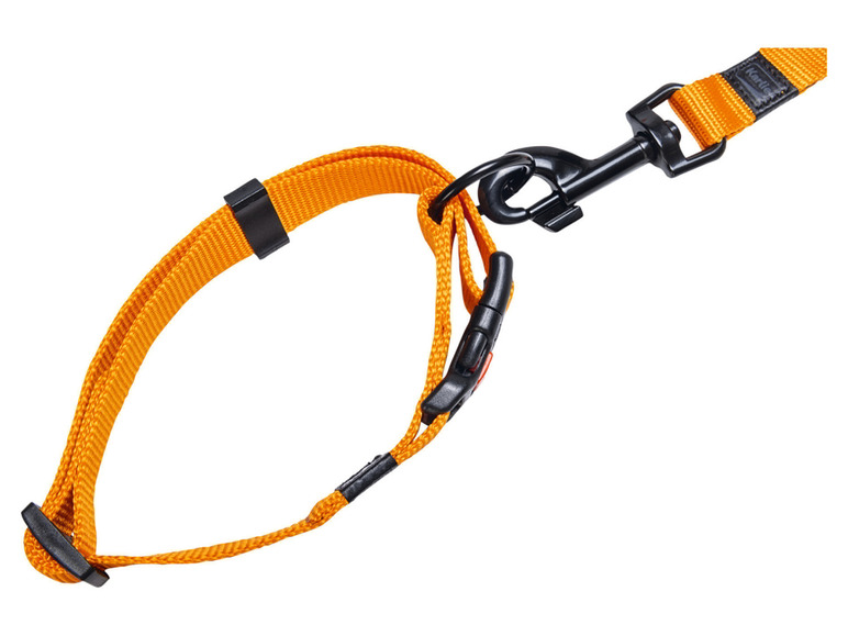 Aller en mode plein écran : Collier avec laisse - Image 29
