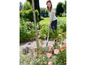 Une femme utilise un râteau dans un jardin de roses.