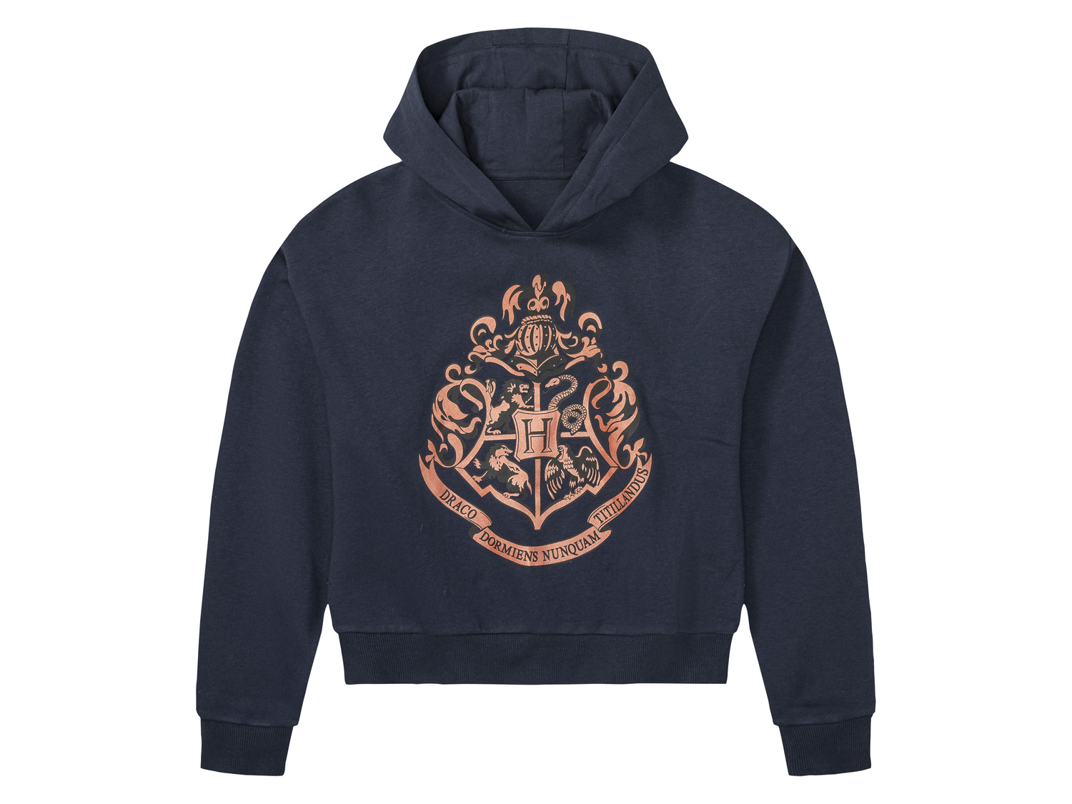 Sweat a capuche Harry Potter enfant LIDL