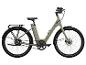 Un vélo électrique gris clair avec un porte-bagages arrière et des pneus Schwalbe.