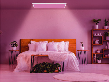 LIVARNO home Panneau LED Smart Home, avec changement de couleurs
