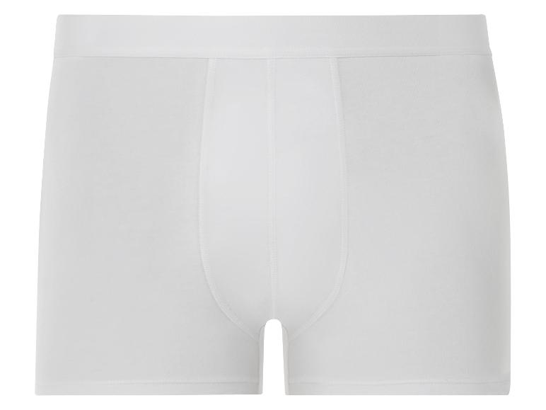 Boxer blanc