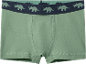 Boxers verts pour garçons avec ceinture élastique bleue à imprimé dinosaures.