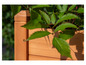 Un bac à plantes en bois avec des plantes vertes.