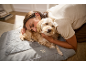Une femme enlace son chien couché sur un panier gris avec texte brodé.
