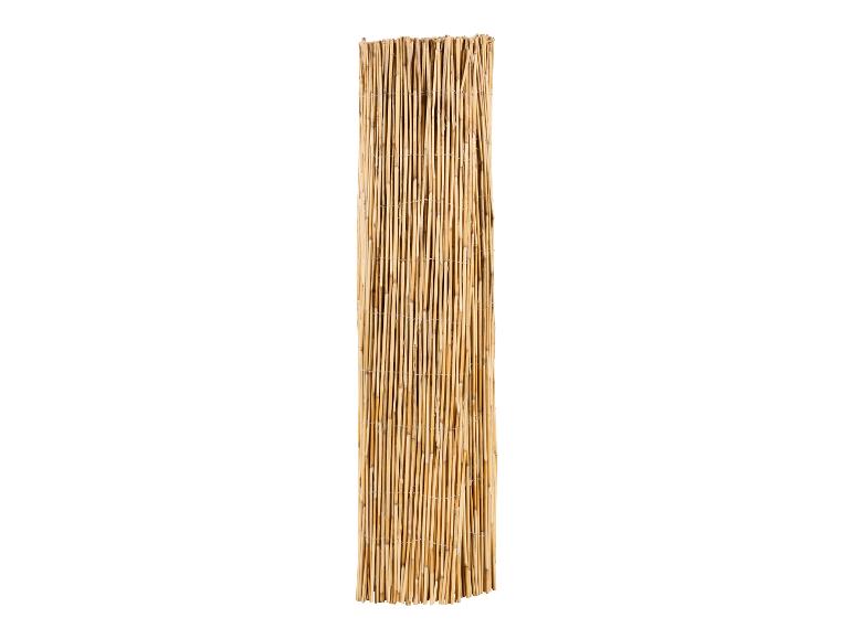 Clôture en bambou ou brise-vue