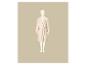 Peignoir en coton beige avec ceinture et poches, sur fond beige.
