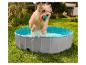Chien jouant dans une piscine pliable Zooafari pour animaux.
