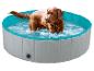 Chiot Labrador Retriever dans une piscine pliable pour chien.