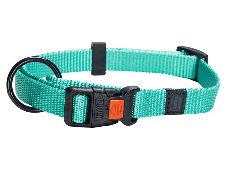 Aller en mode plein écran : Collier avec laisse - Image 16