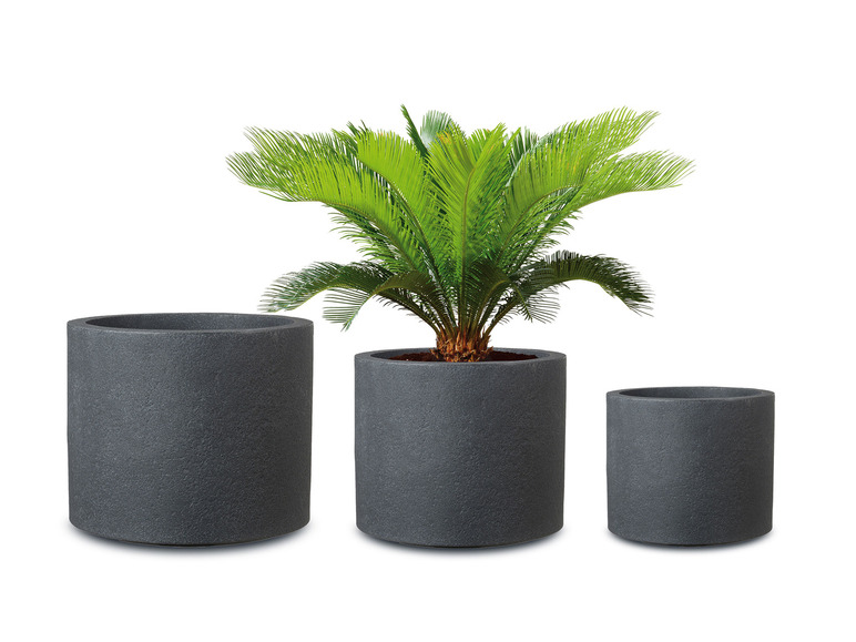 Trois pots ronds avec une plante dans le pot du milieu.