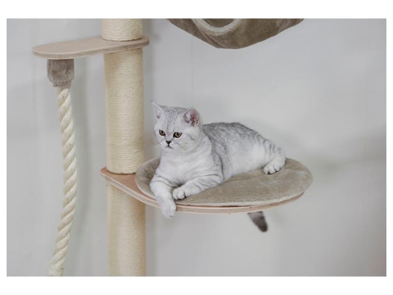 Chat argenté allongé sur un lit beige sur un arbre à chat.